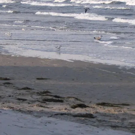 Bergen In - Stilvolle Mit Parkplatz Und Strandkorb, 200m Zum Binz